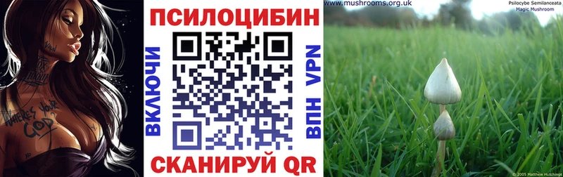 Псилоцибиновые грибы MAGIC MUSHROOMS  Армавир 