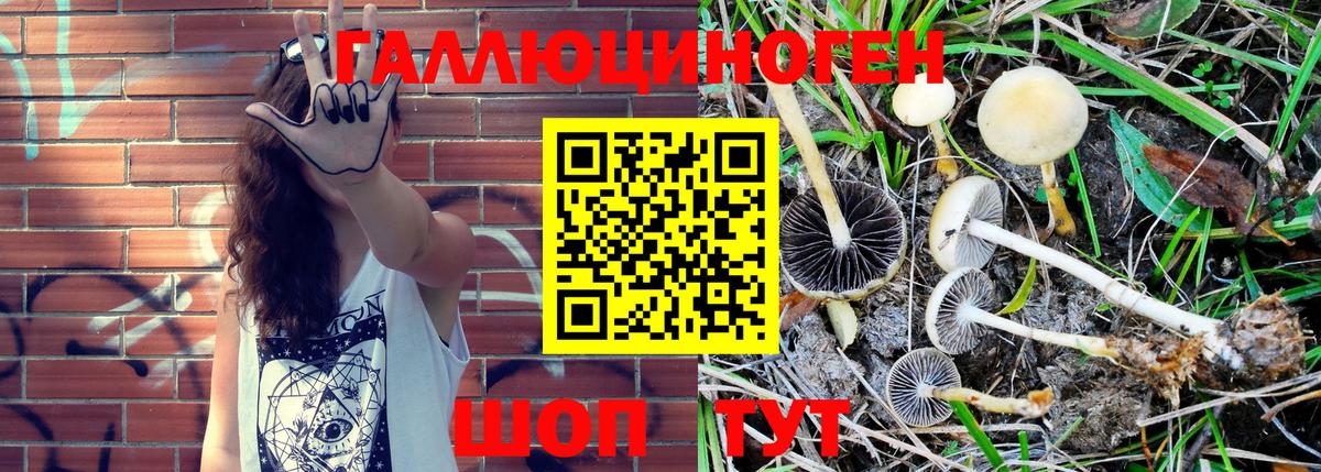 Армавир  Псилоцибиновые грибы Magic Shrooms  Вход с VPN 